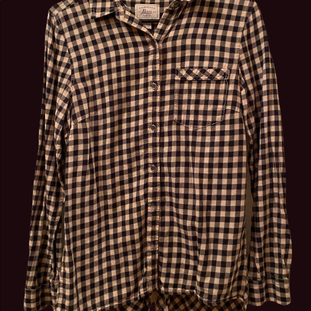 Fall/winter